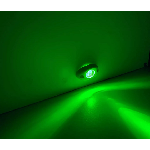 Luz de Cortesia em ABS - 4 LEDS - BRANCA - Luz : VERDE - 12 V - Oval