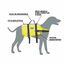 Colete Salva-Vidas Pet Vest - Tamanho M - Ativa